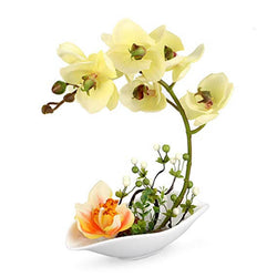 group-yellow