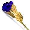 group-blue