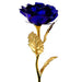 group-blue