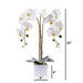 Livilan Silk Butterfly Orchid
