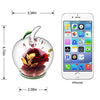 Flower Rose Decor
