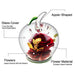 Flower Rose Decor
