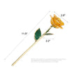 group-yellow